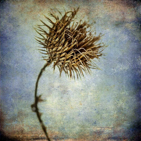 Grunge Remnants V White Modern Wood Framed Art Print by Malek, Honey