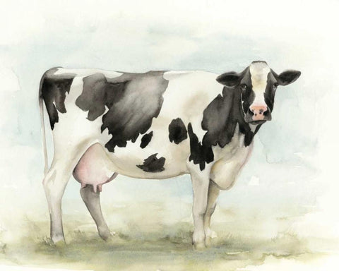 Watercolor Cow I White Modern Wood Framed Art Print with Double Matting by Popp, Grace