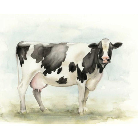 Watercolor Cow I Black Modern Wood Framed Art Print with Double Matting by Popp, Grace