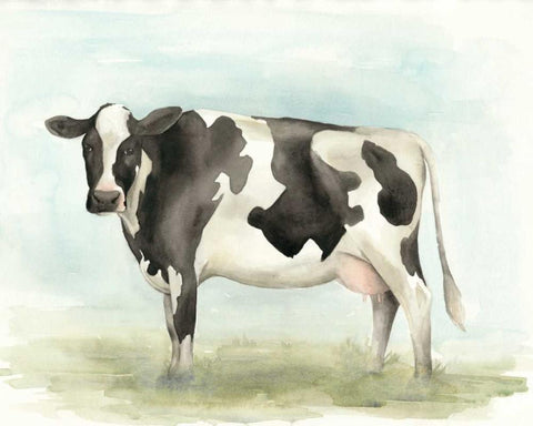 Watercolor Cow II Black Ornate Wood Framed Art Print with Double Matting by Popp, Grace