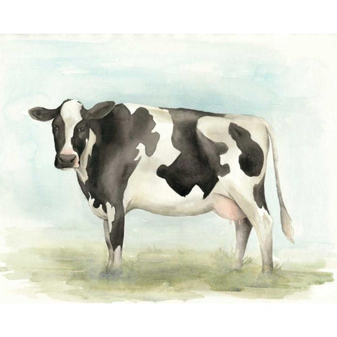 Watercolor Cow II Black Modern Wood Framed Art Print by Popp, Grace