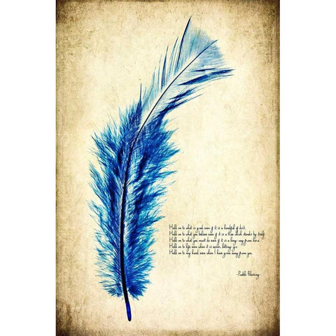 Feather in Color I Gold Ornate Wood Framed Art Print with Double Matting by Malek, Honey