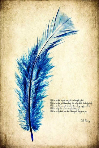 Feather in Color I White Modern Wood Framed Art Print with Double Matting by Malek, Honey