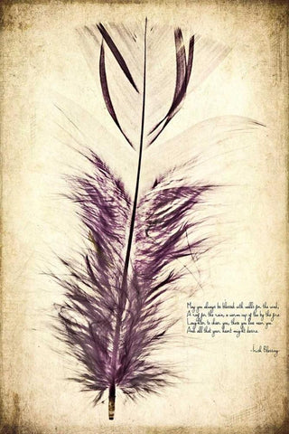 Feather in Color II White Modern Wood Framed Art Print with Double Matting by Malek, Honey