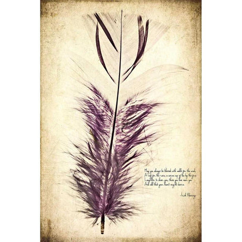 Feather in Color II Black Modern Wood Framed Art Print with Double Matting by Malek, Honey