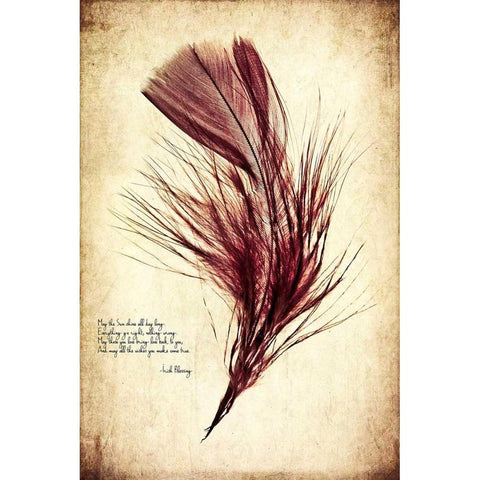 Feather in Color III White Modern Wood Framed Art Print by Malek, Honey