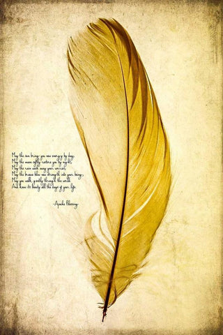 Feather in Color IV Black Ornate Wood Framed Art Print with Double Matting by Malek, Honey