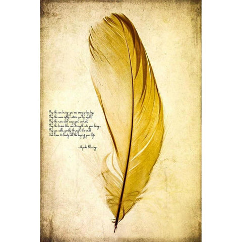 Feather in Color IV Black Modern Wood Framed Art Print with Double Matting by Malek, Honey