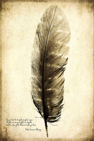 Feather on the Wind I Black Ornate Wood Framed Art Print with Double Matting by Malek, Honey