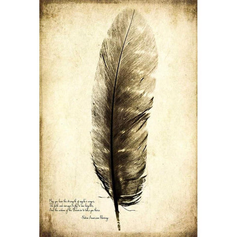 Feather on the Wind I White Modern Wood Framed Art Print by Malek, Honey
