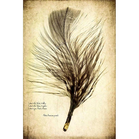 Feather on the Wind II White Modern Wood Framed Art Print by Malek, Honey