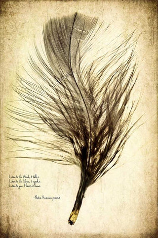 Feather on the Wind II Black Ornate Wood Framed Art Print with Double Matting by Malek, Honey