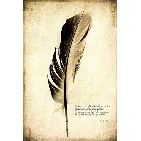Feather on the Wind III White Modern Wood Framed Art Print by Malek, Honey