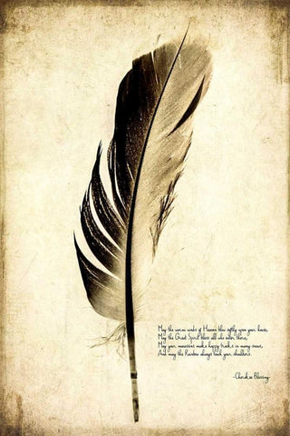 Feather on the Wind III White Modern Wood Framed Art Print with Double Matting by Malek, Honey