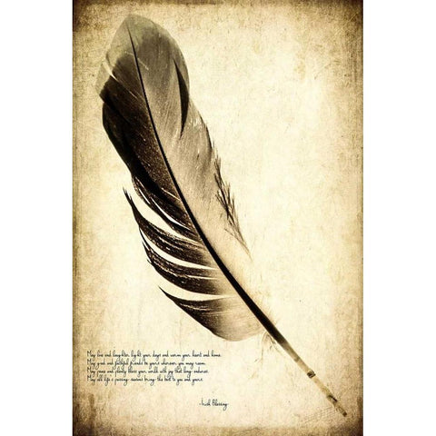 Feather on the Wind IV White Modern Wood Framed Art Print by Malek, Honey