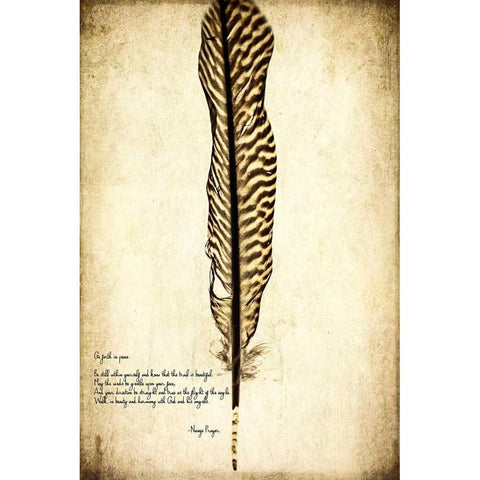 Feather on the Wind V White Modern Wood Framed Art Print by Malek, Honey