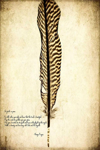 Feather on the Wind V White Modern Wood Framed Art Print with Double Matting by Malek, Honey