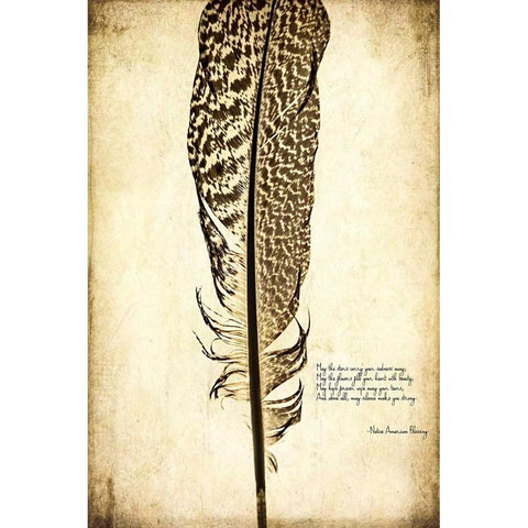 Feather on the Wind VI White Modern Wood Framed Art Print by Malek, Honey