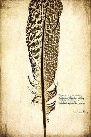 Feather on the Wind VI White Modern Wood Framed Art Print with Double Matting by Malek, Honey