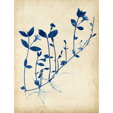 Indigo Leaf Study II White Modern Wood Framed Art Print by Vision Studio