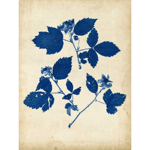 Indigo Leaf Study VI White Modern Wood Framed Art Print by Vision Studio