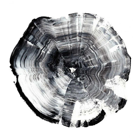 Tree Ring Abstract I Black Modern Wood Framed Art Print with Double Matting by Harper, Ethan