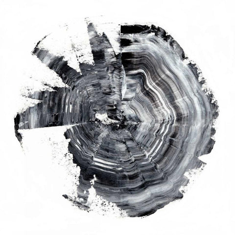 Tree Ring Abstract II White Modern Wood Framed Art Print with Double Matting by Harper, Ethan