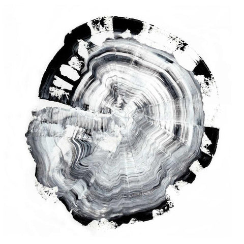 Tree Ring Abstract III White Modern Wood Framed Art Print by Harper, Ethan