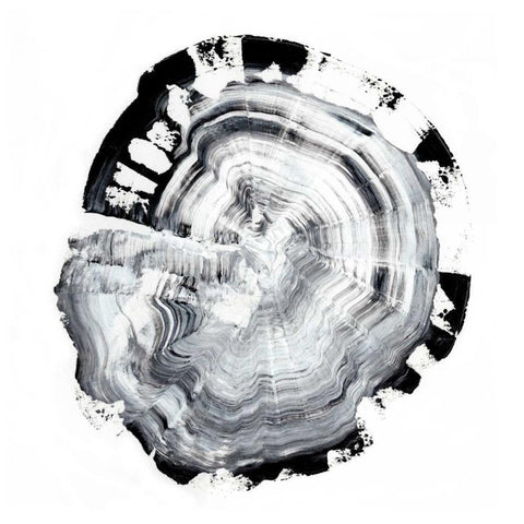 Tree Ring Abstract III White Modern Wood Framed Art Print with Double Matting by Harper, Ethan