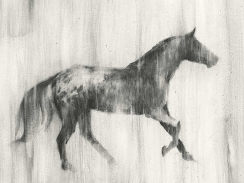Appaloosa Study I Black Ornate Wood Framed Art Print with Double Matting by Harper, Ethan