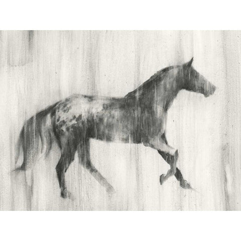 Appaloosa Study I Black Modern Wood Framed Art Print by Harper, Ethan