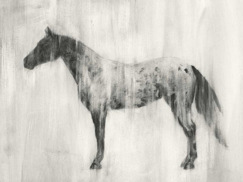Appaloosa Study II White Modern Wood Framed Art Print with Double Matting by Harper, Ethan