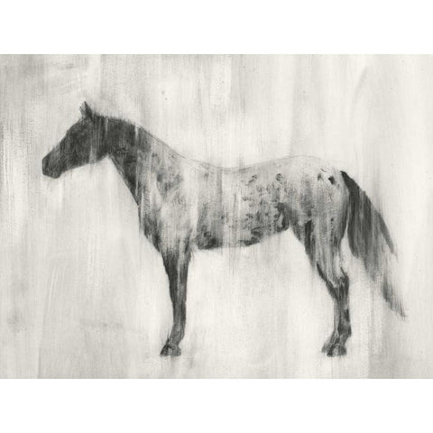 Appaloosa Study II Black Modern Wood Framed Art Print by Harper, Ethan