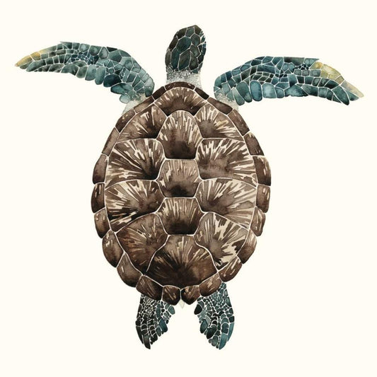 Image Only