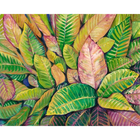 Tropical Close Up I Black Modern Wood Framed Art Print with Double Matting by OToole, Tim