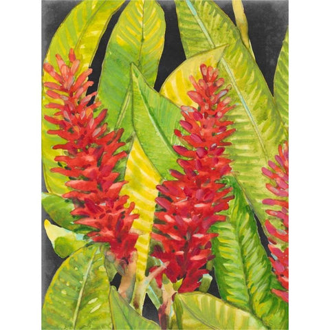 Red Tropical Flowers I Black Modern Wood Framed Art Print with Double Matting by OToole, Tim