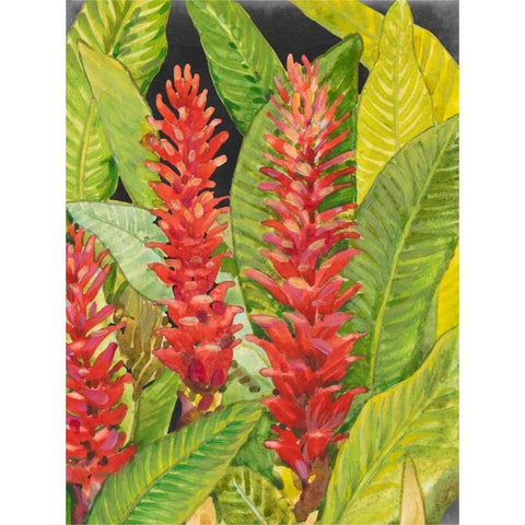 Red Tropical Flowers II Gold Ornate Wood Framed Art Print with Double Matting by OToole, Tim