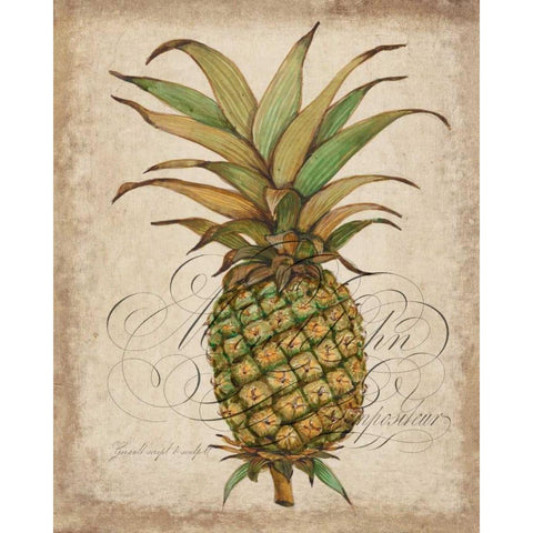 Pineapple Study I Black Modern Wood Framed Art Print with Double Matting by OToole, Tim