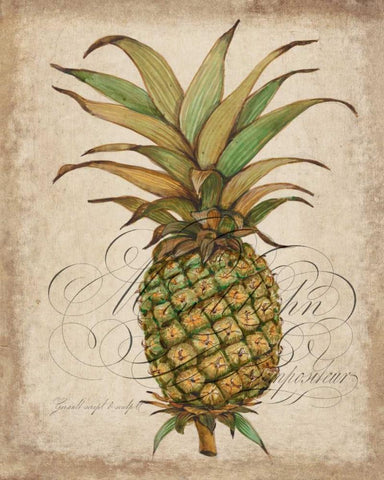 Pineapple Study I White Modern Wood Framed Art Print with Double Matting by OToole, Tim