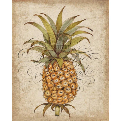 Pineapple Study II Gold Ornate Wood Framed Art Print with Double Matting by OToole, Tim