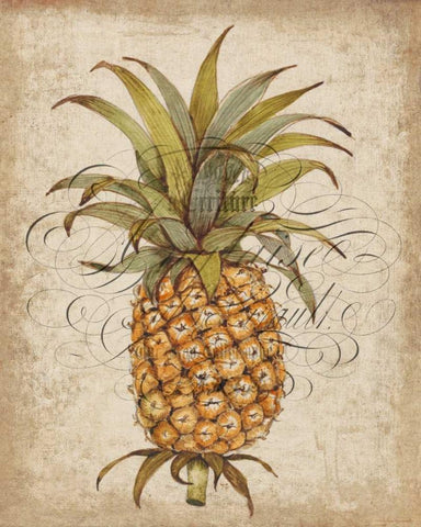 Pineapple Study II Black Ornate Wood Framed Art Print with Double Matting by OToole, Tim