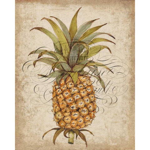 Pineapple Study II Black Modern Wood Framed Art Print by OToole, Tim