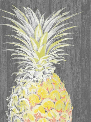 Vibrant Pineapple Splendor I White Modern Wood Framed Art Print with Double Matting by Studio W