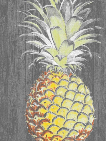 Vibrant Pineapple Splendor II White Modern Wood Framed Art Print with Double Matting by Studio W