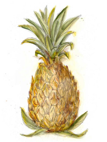 Pineapple Sketch I Black Ornate Wood Framed Art Print with Double Matting by Harper, Ethan