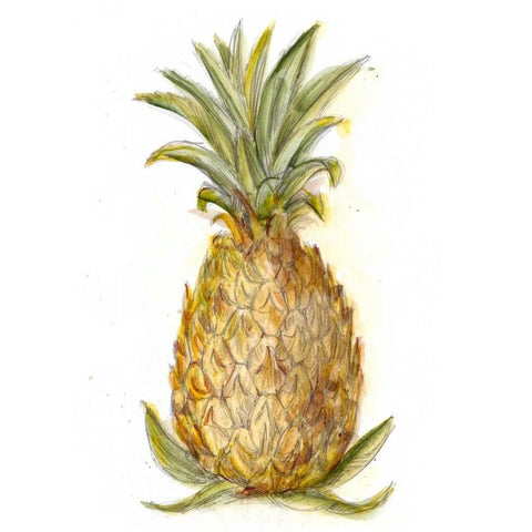 Pineapple Sketch I Black Modern Wood Framed Art Print by Harper, Ethan