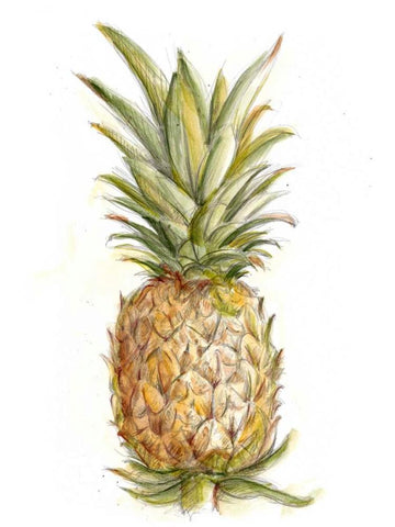 Pineapple Sketch II Black Ornate Wood Framed Art Print with Double Matting by Harper, Ethan