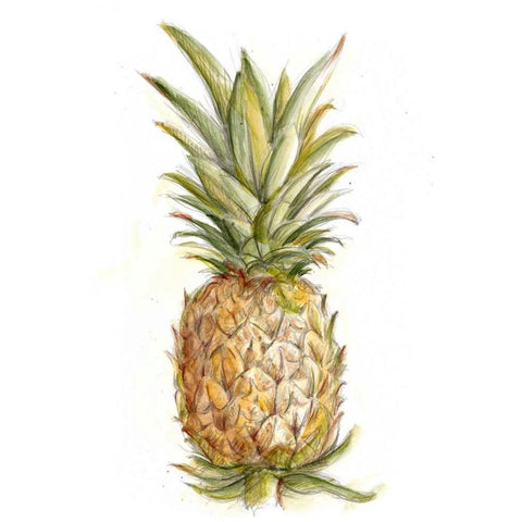 Pineapple Sketch II Gold Ornate Wood Framed Art Print with Double Matting by Harper, Ethan