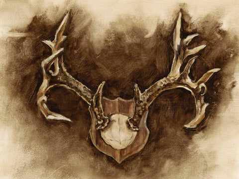 Rustic Antler Mount I Black Ornate Wood Framed Art Print with Double Matting by Harper, Ethan