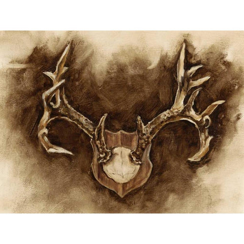 Rustic Antler Mount I Black Modern Wood Framed Art Print by Harper, Ethan